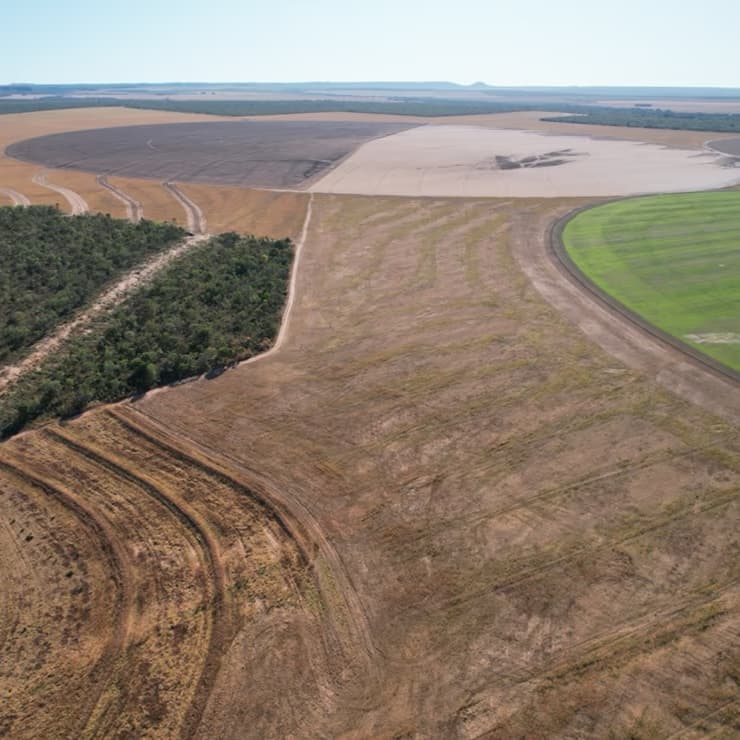 Aerial view of Mombak reforestation land in the Amazon