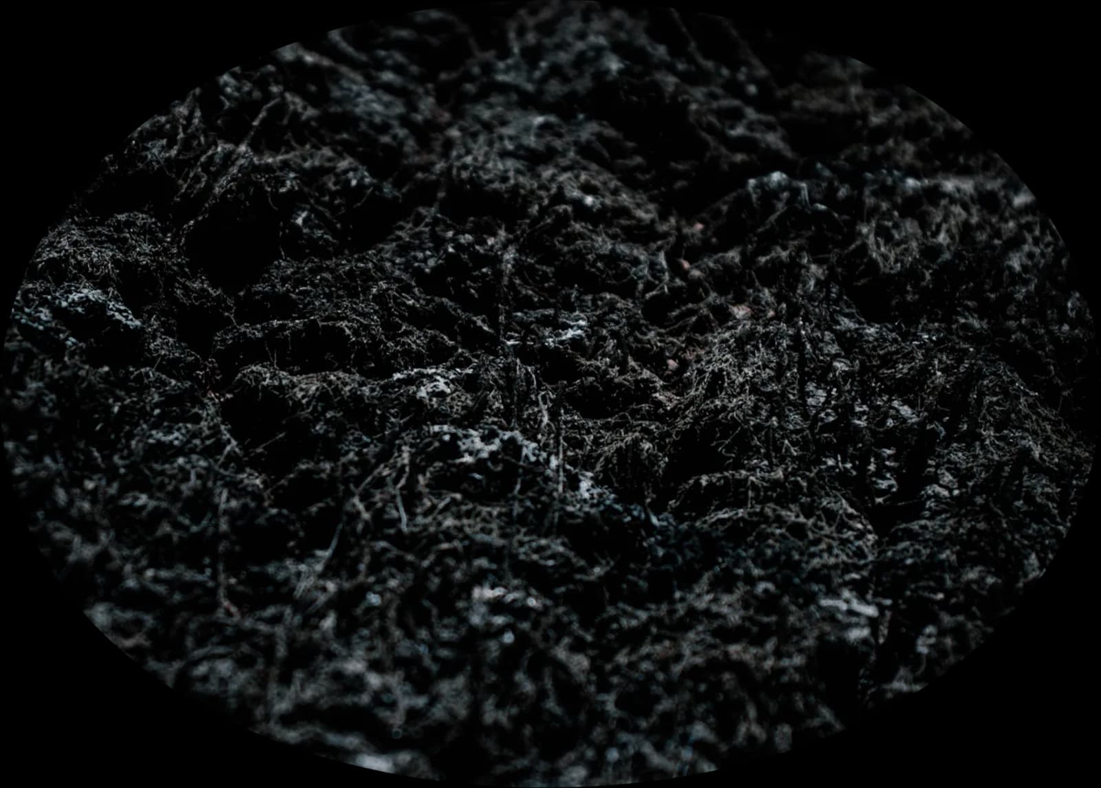 Close-up of dark, porous biochar