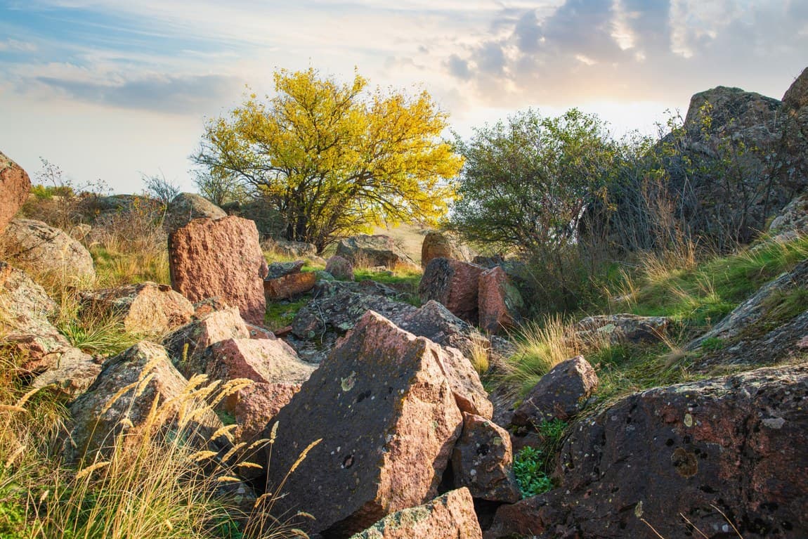 Crushed basalt spread on farmland