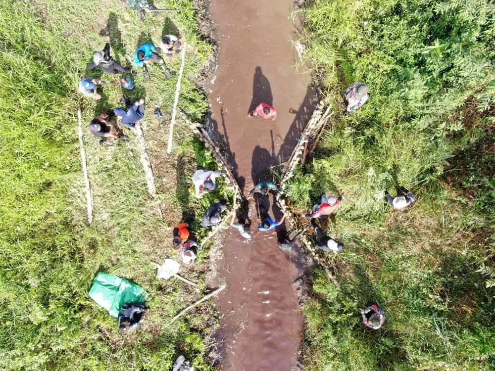 Katingan-Mentaya-Moorwald in Indonesien