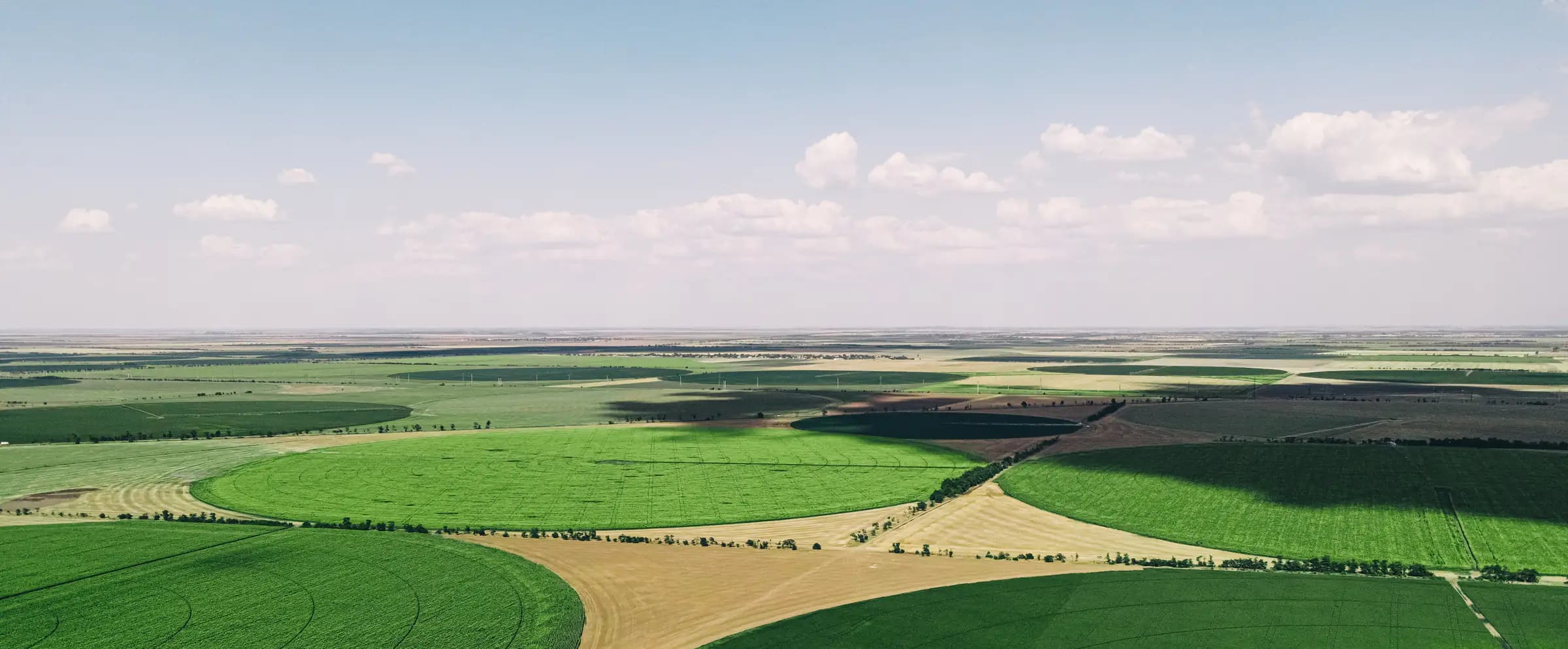 Circular green crop fields stretching to the horizon under a wide sky