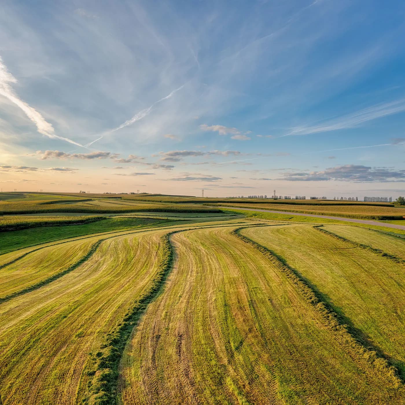 Geschwungene Reihen gemähten Grases auf weitem Ackerland unter einem Abendhimmel