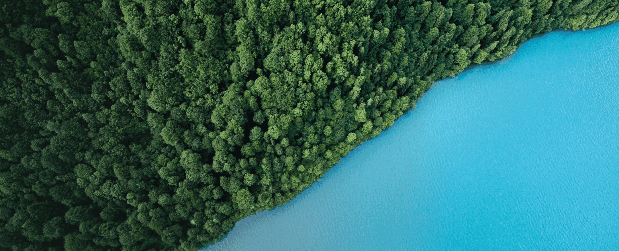 A Guide to VCMI: How to make Credible Carbon Credits Claims
