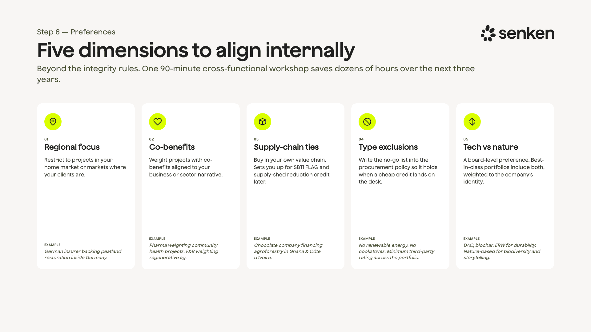 Five preference dimensions to align internally: regional focus, co-benefits, supply-chain ties, exclusions, and technology versus nature.