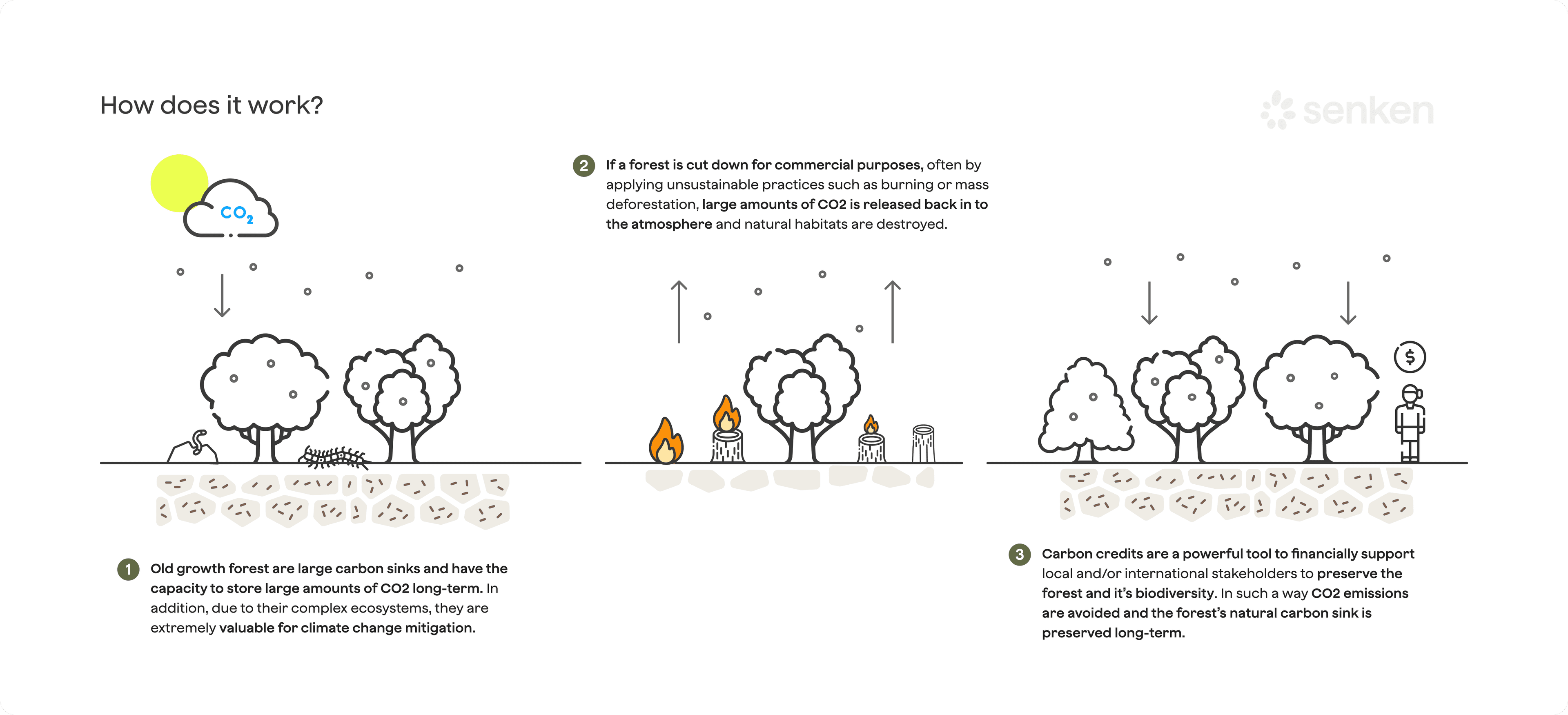 REDD+ forest carbon project cycle with baseline definition, implementation, monitoring, verification and <a href=