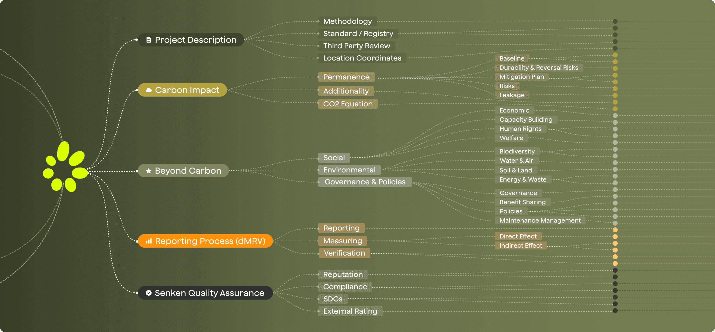 Due Diligence Process for Carbon Credits