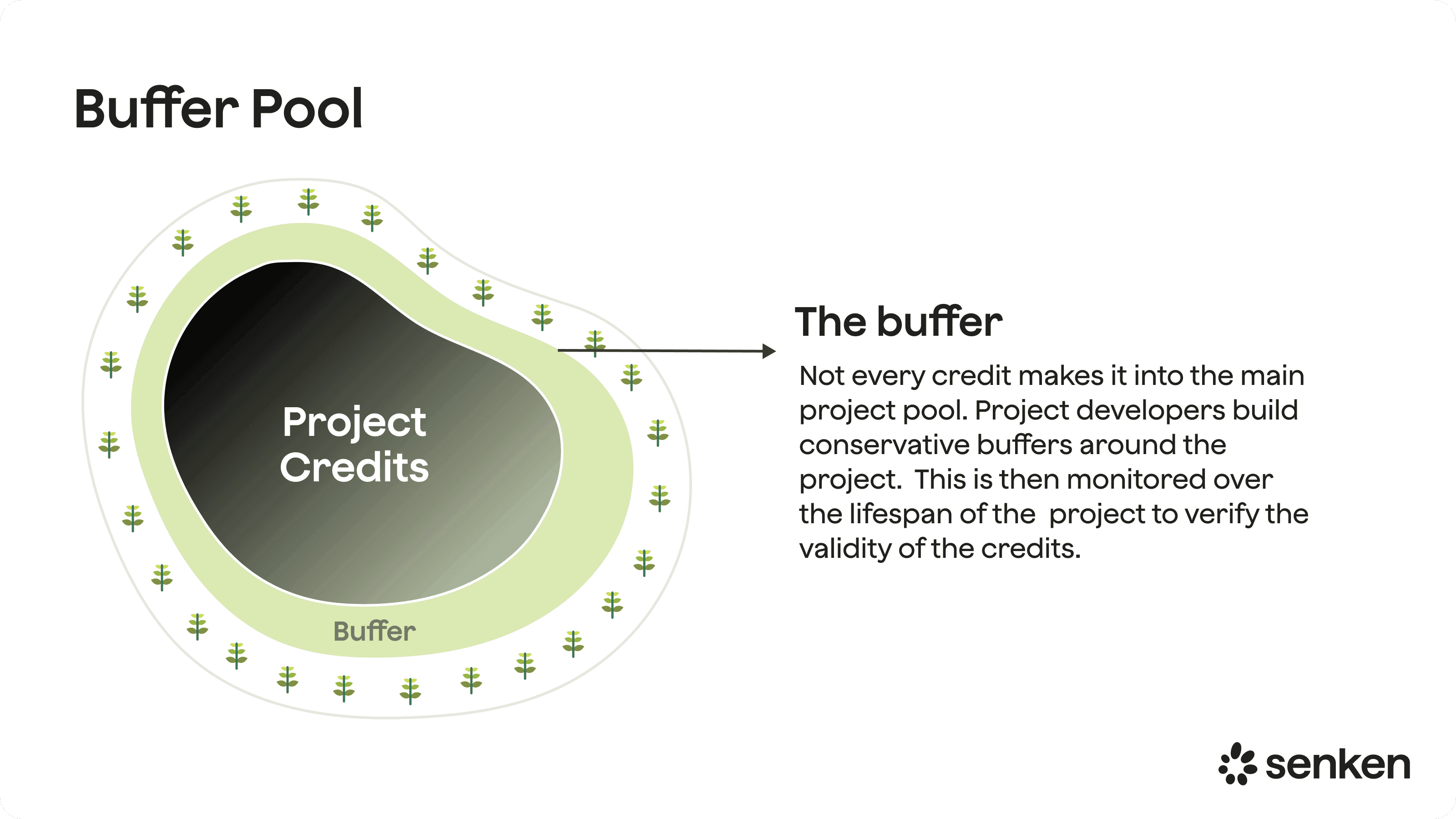 Buffer pool concept for forest carbon projects showing shared credits set aside to cover wildfire, pest and other reversal risks and support long-term permanence