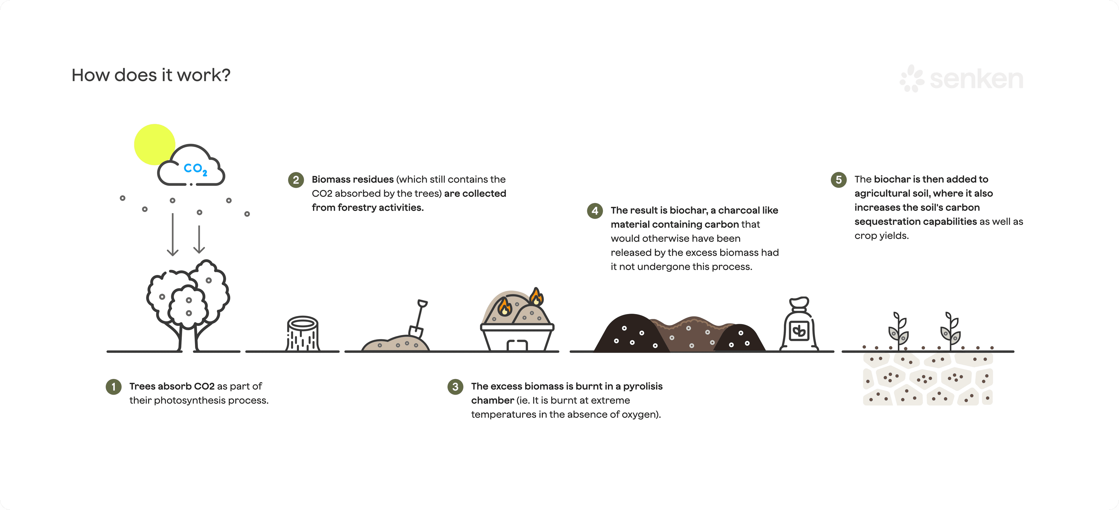 Biochar carbon cycle with atmospheric CO2 absorbed by plants through photosynthesis, biomass converted by pyrolysis into biochar, and carbon stored long term in soils and products