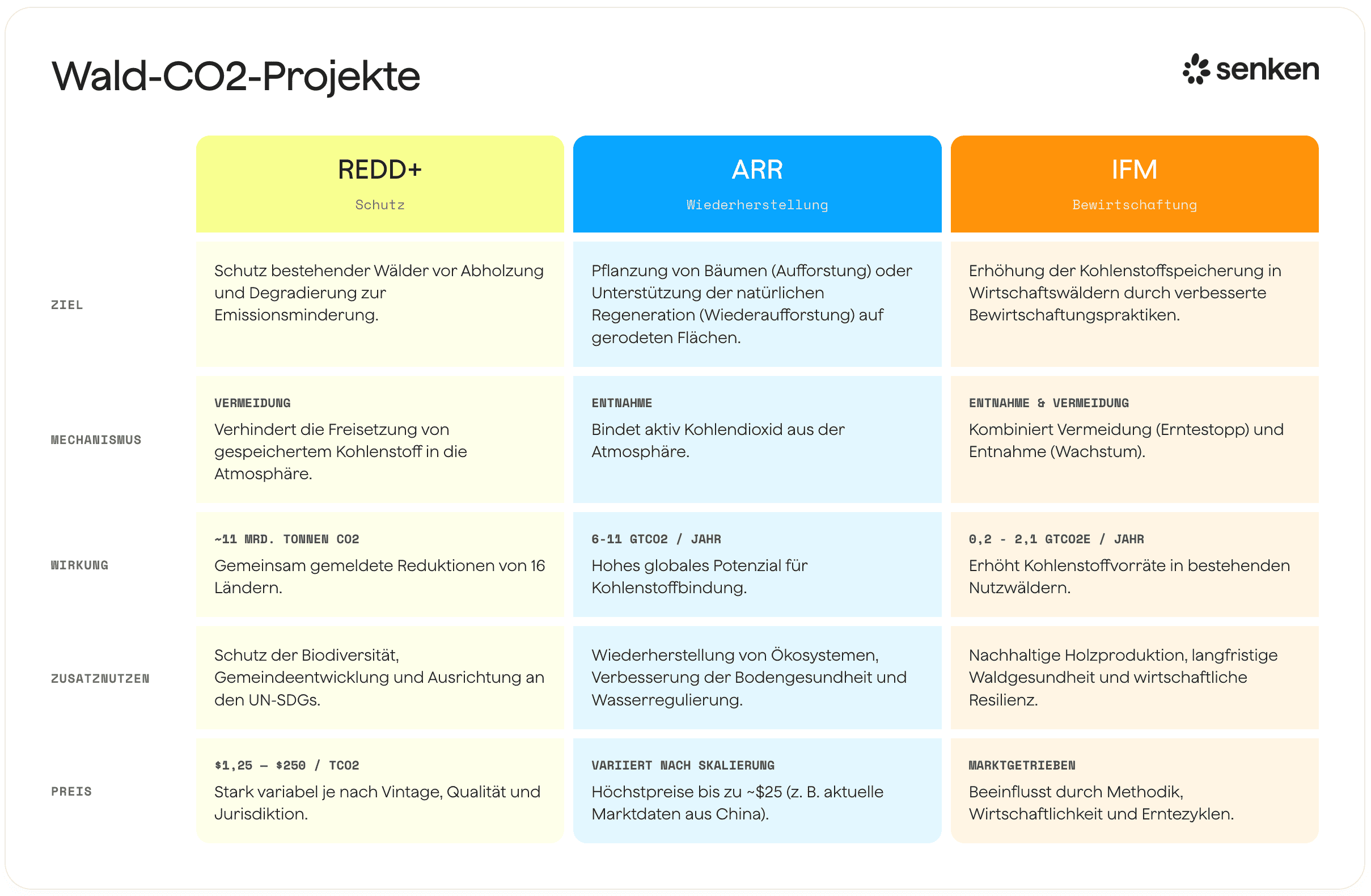 Wald-CO2-Projekte: Vergleich von REDD+, ARR und IFM-Strategien zur Kohlenstoffspeicherung und Nachhaltigkeit