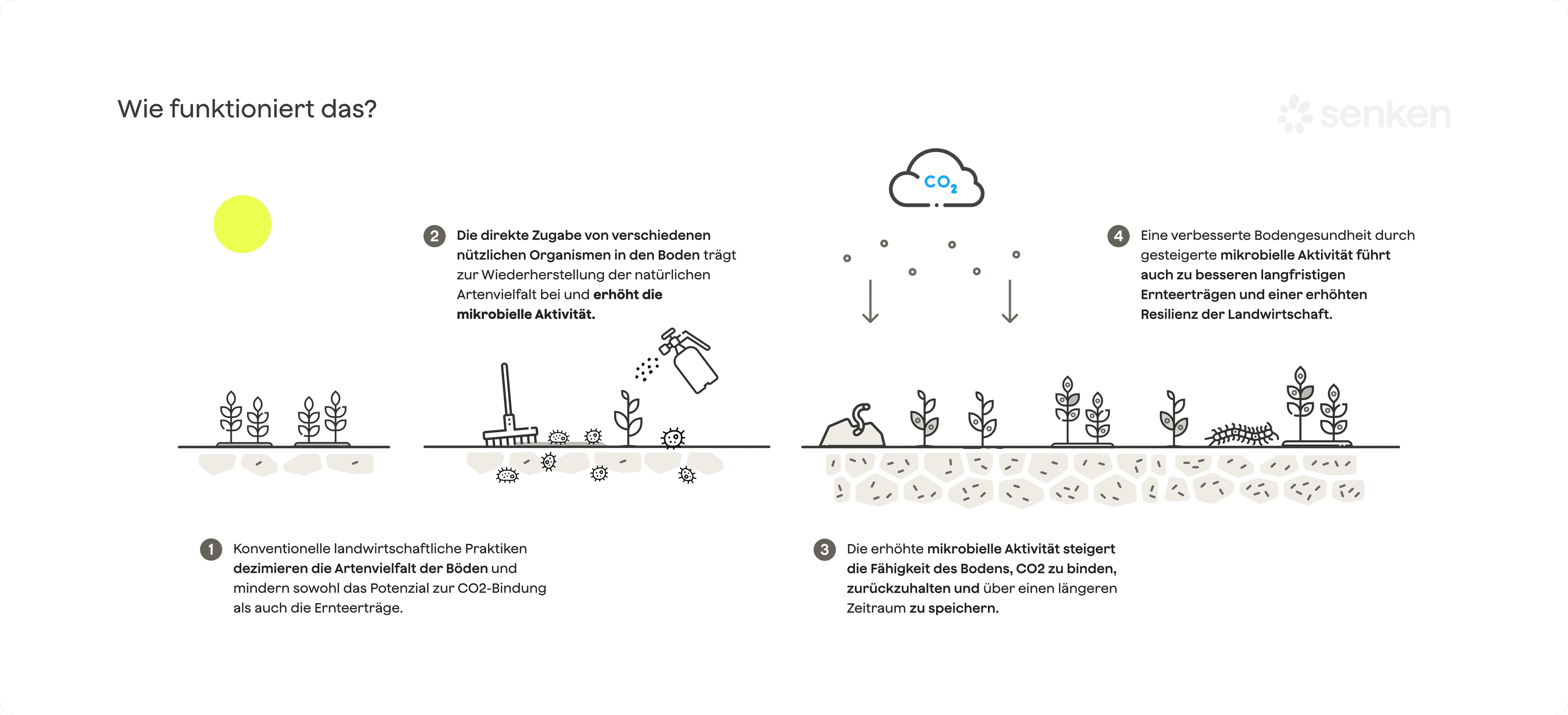 Prozess der mikrobiellen Mineralisierung zur Bodengesundheit und CO2-Reduktion in landwirtschaftlichen Praktiken