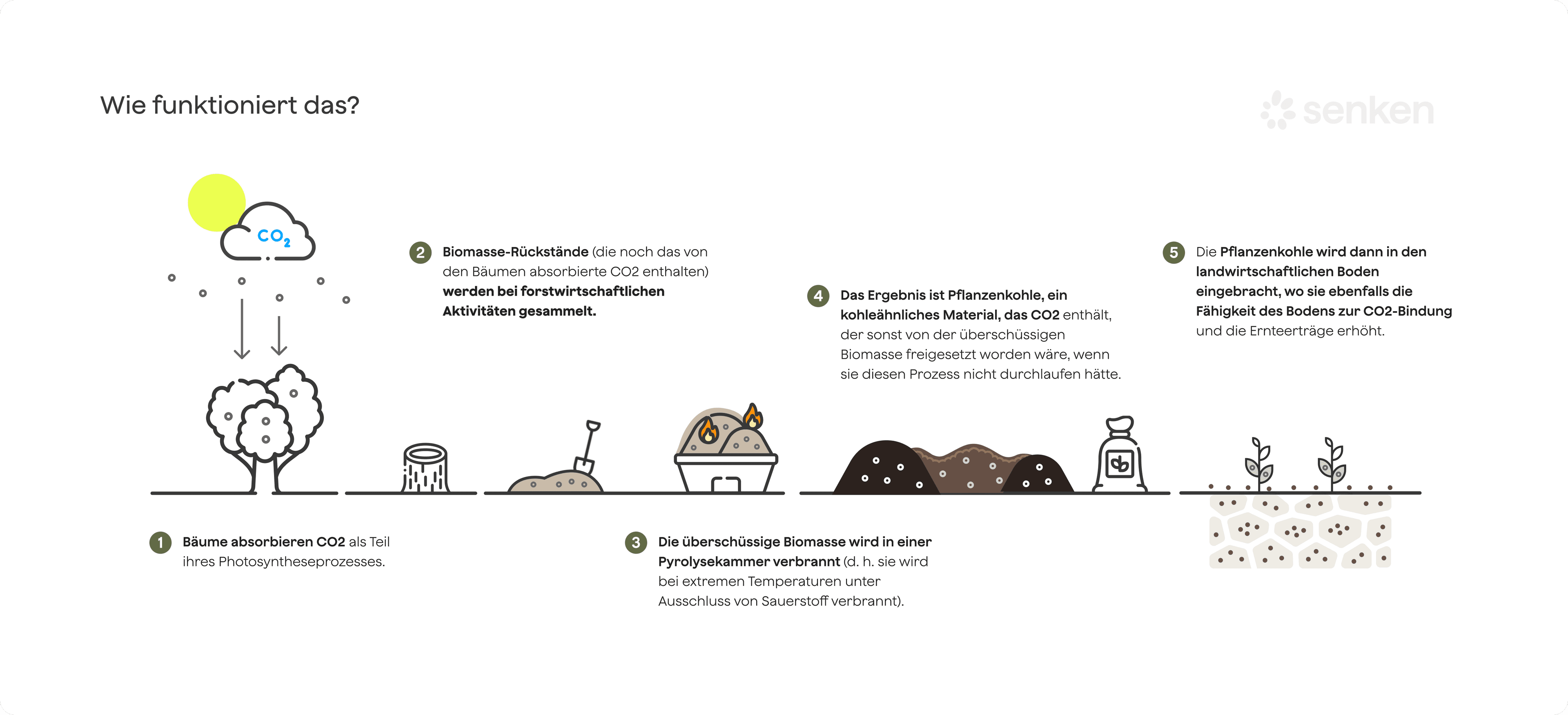 Pflanzenkohle-Prozess zur CO2-Reduktion und landwirtschaftlichen Nutzung