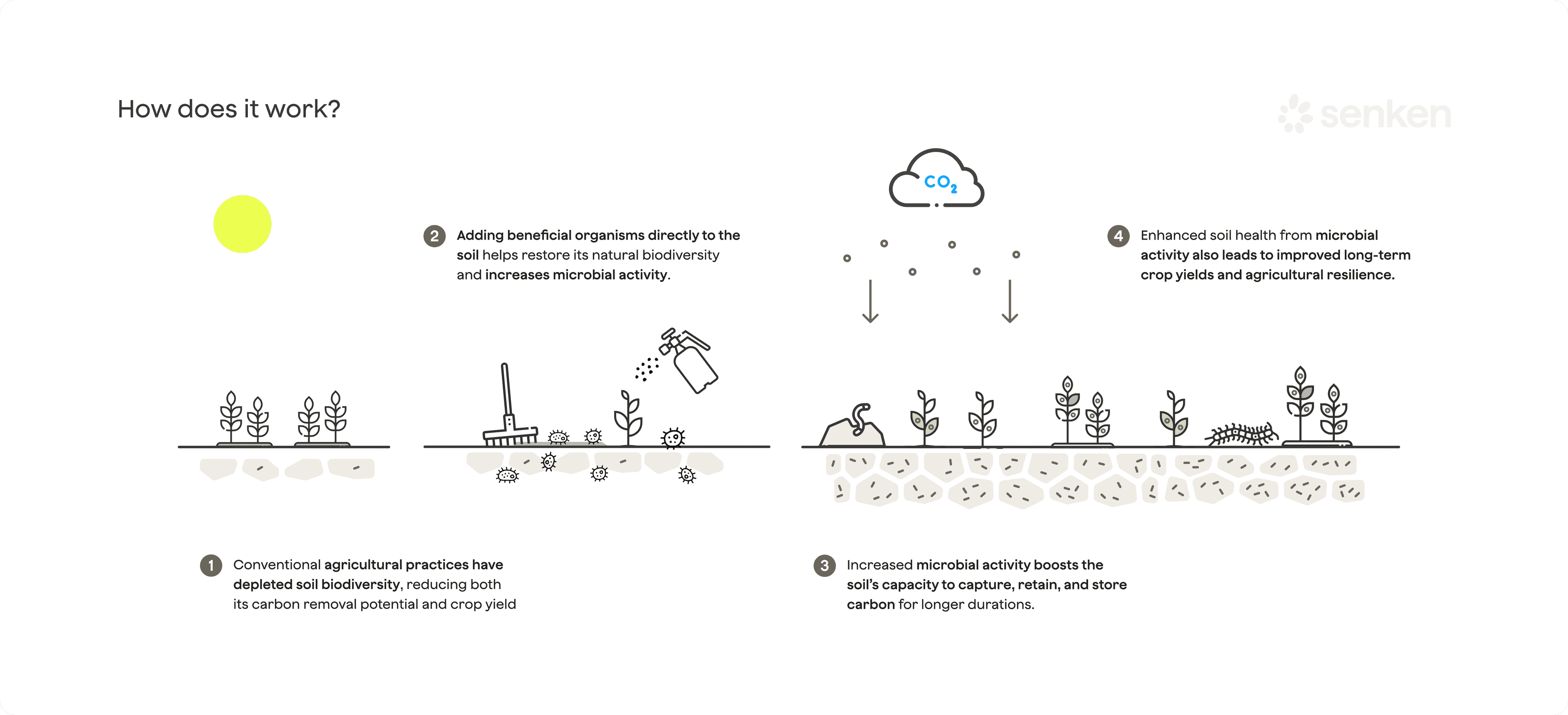 Microbial mineralisation process improving soil health and carbon retention for enhanced agricultural resilience