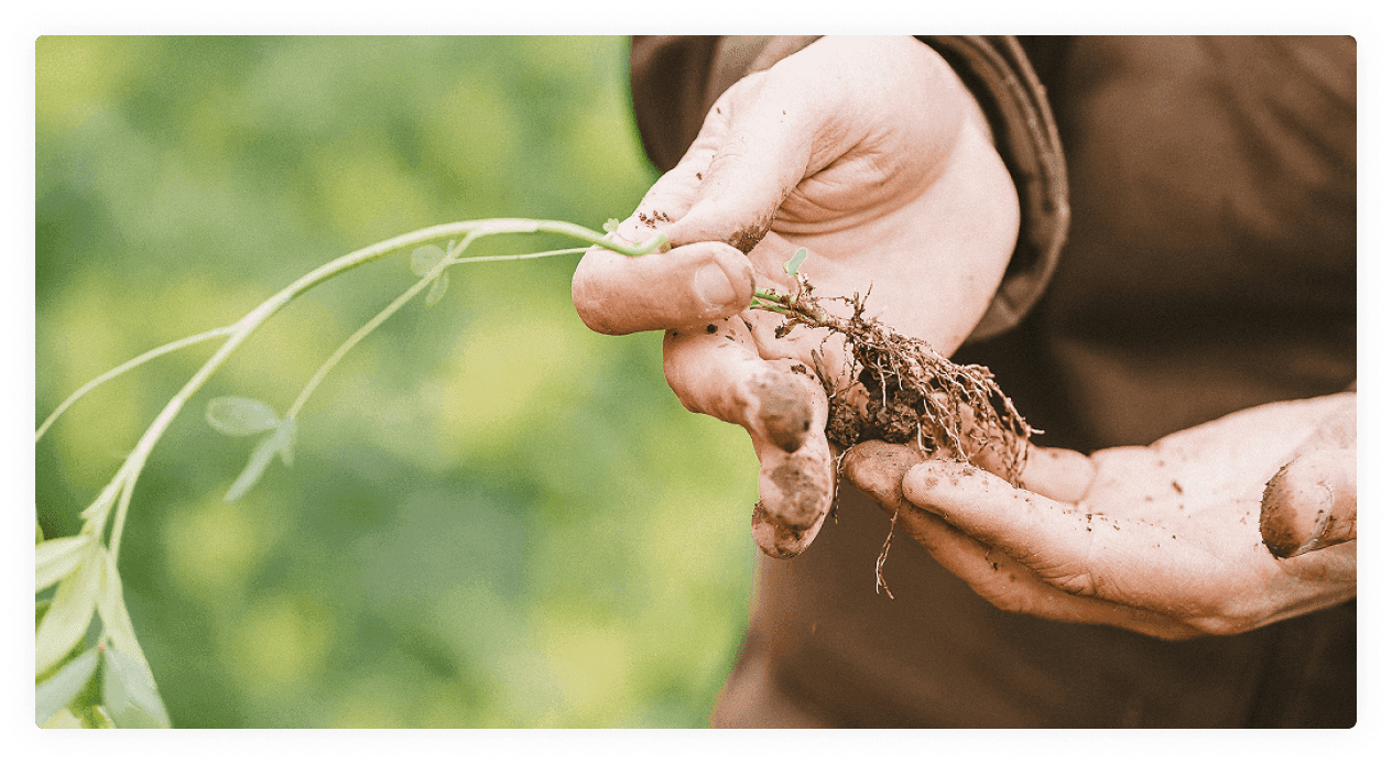 Klim Plattform für regenerative Landwirtschaft