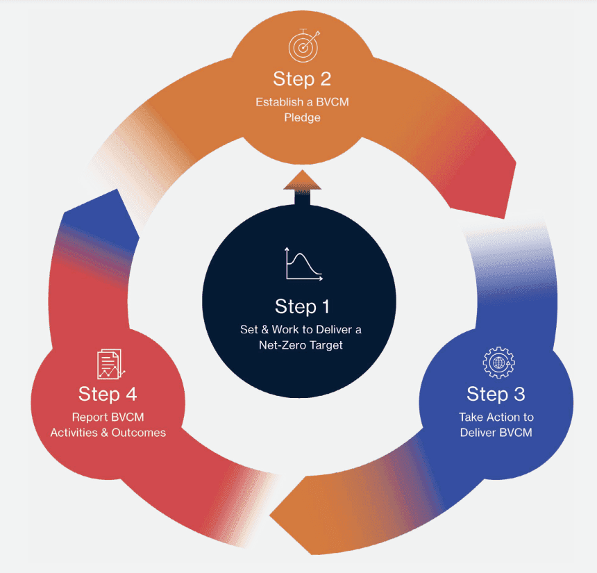 Steps for making BVCM claims