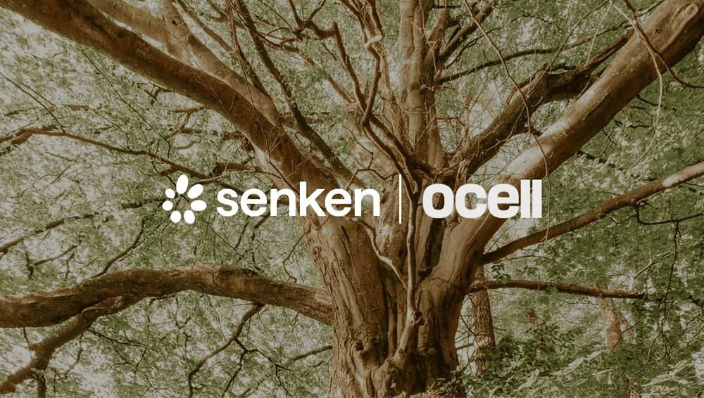 Senken x Ocell Partnership – European Forest Carbon Removal