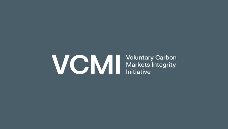 How the VCMI Claims Code of Practice is helping companies reach net zero
