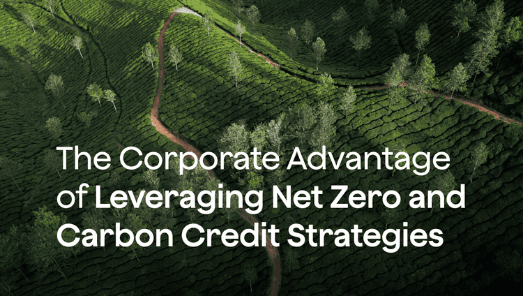 The Corporate Advantage Of Leveraging Net Zero and Carbon Credit Strategies