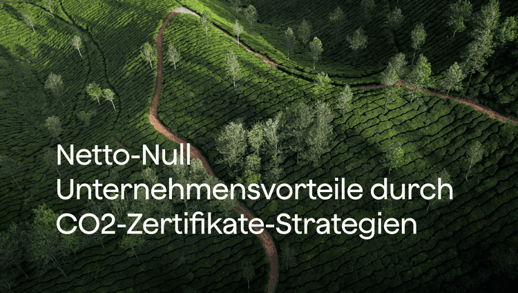 Netto-Null Unternehmensvorteile durch CO2-Zertifikate-Strategien
