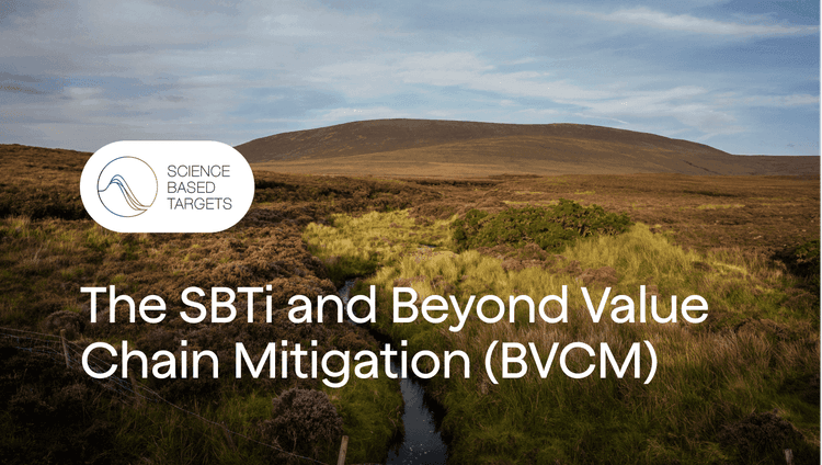 The SBTi and BVCM: How carbon credits support the path to net zero