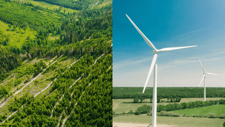 Can companies buy carbon credits and reduce emissions at the same time?