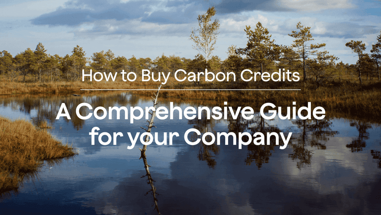 How to Buy Carbon Credits: A Comprehensive Guide for your Company