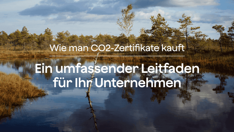 CO2 Zertifikate kaufen: Ein umfassender Leitfaden für Ihr Unternehmen