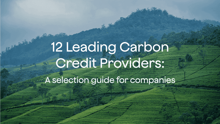 12 Leading Carbon Credit Providers in 2025