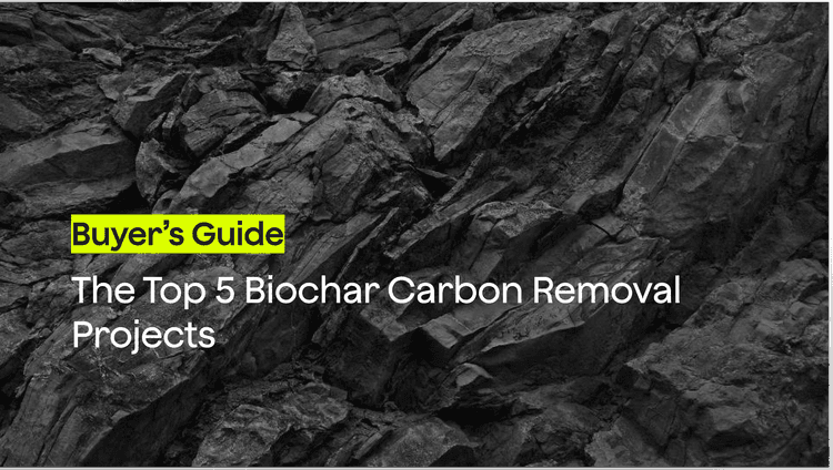 The Top 5 Biochar Carbon Removal Projects in 2026