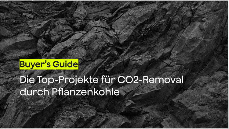Die Top 5 Projekte für CO2-Removal durch Pflanzenkohle in 2026