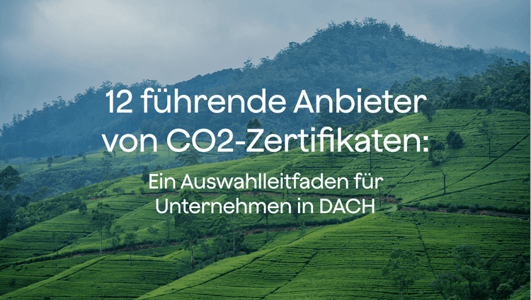 12 führende Anbieter von CO2-Zertifikaten