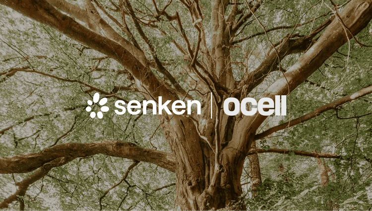 Senken x Ocell Partnership – European Forest Carbon Removal