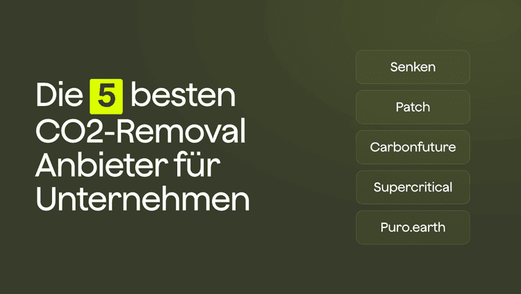 Top 5 CO2-Removal Anbieter für Unternehmen 2026