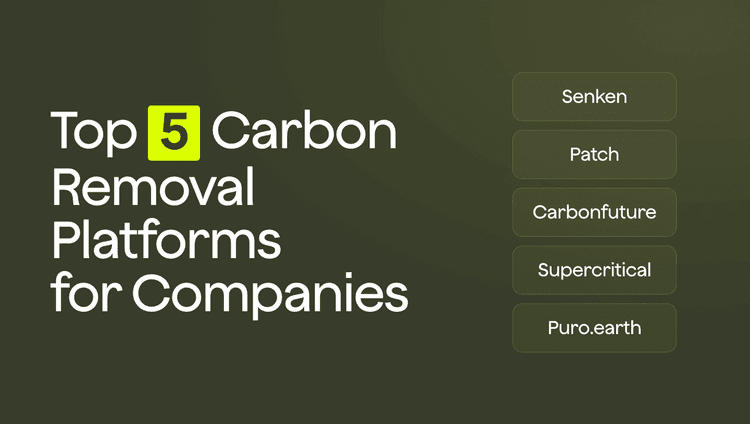 Top 5 Carbon Removal Providers for Companies in 2026