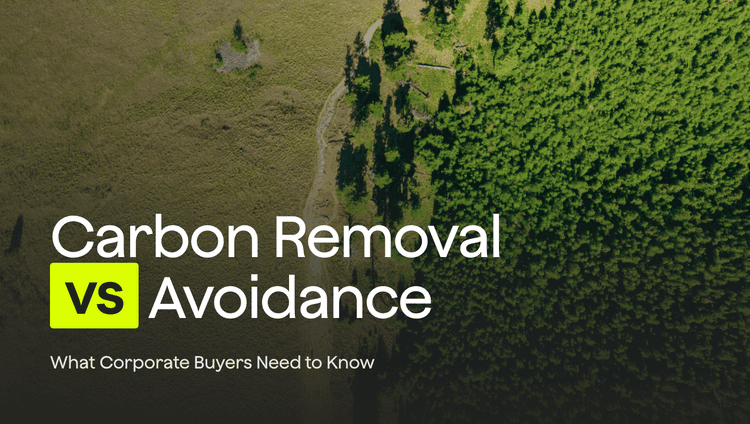 Carbon Avoidance vs Carbon Removal