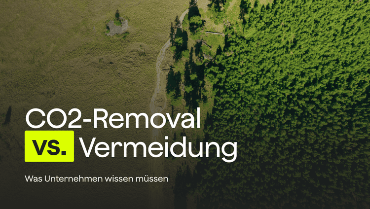 CO2-Vermeidung vs CO2-Removal