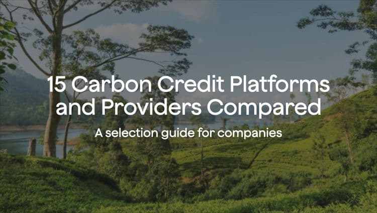 15 carbon credit platforms and providers compared: a selection guide for companies