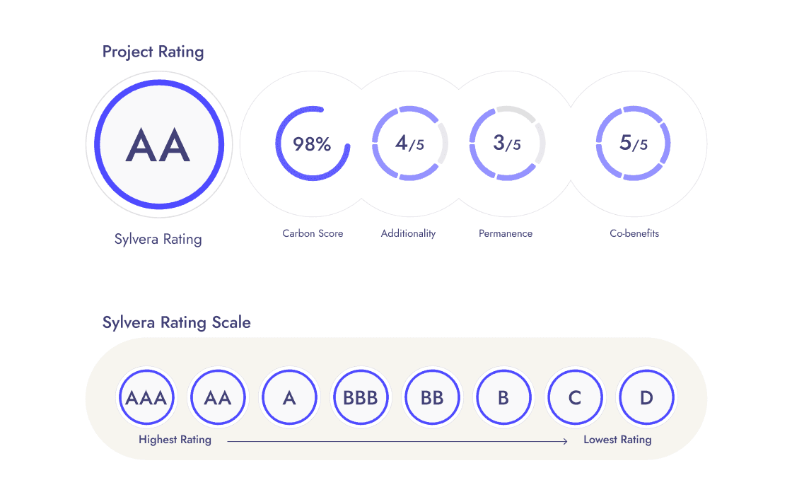 newsletter_99709b42388c6aeb_Sylvera_Rating_Scale-1.png