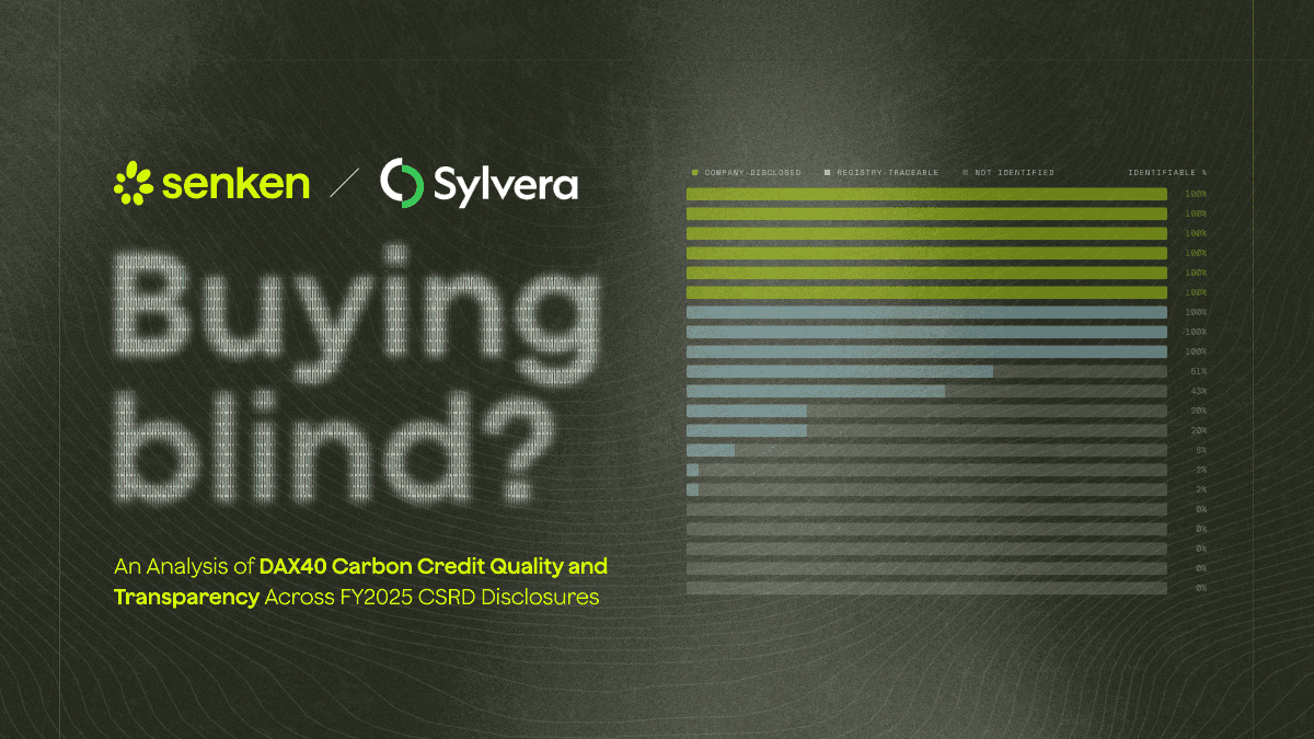 newsletter_bbbc1b7ebbdd4a8a_buying-blind-teaser-1.png