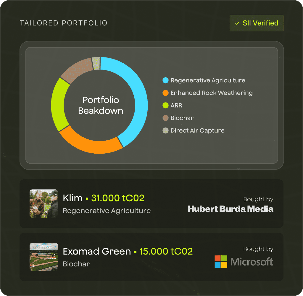 Portfolio balance chart