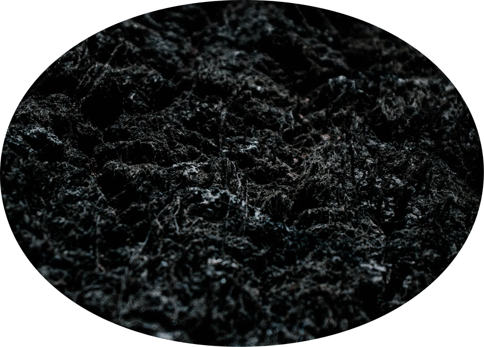Nahaufnahme von dunkler, poröser Pflanzenkohle